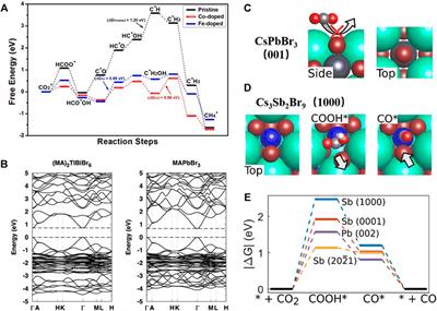 Advances in Theoretical Calculation of Halide Perovskites for Photocatalysis